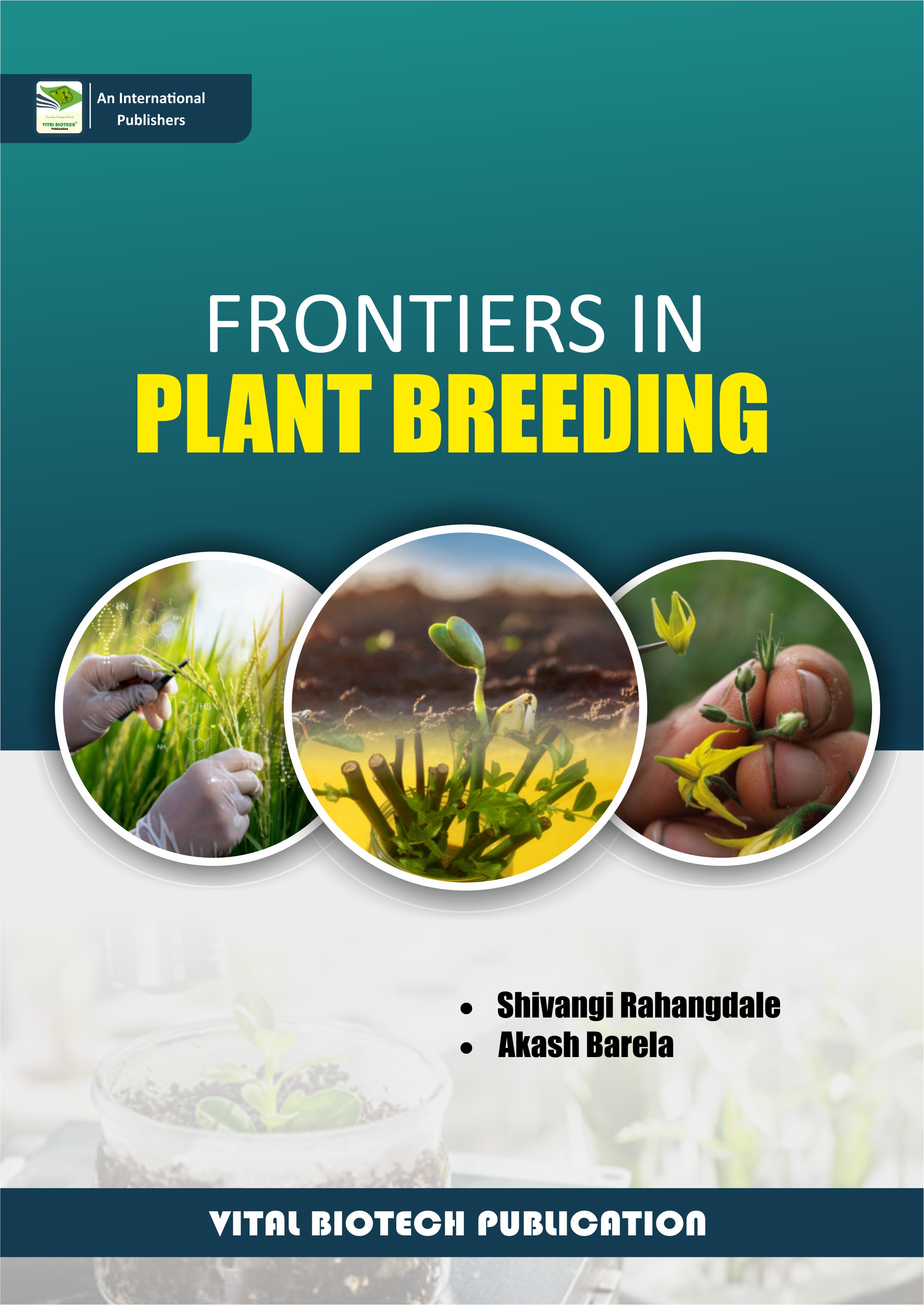 book cover page